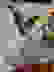 item-74324504=4