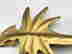 item-75221037=3