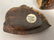 3 JEFFREY SEATON Burl Raw Edge Small Jewelry Boxe - 3