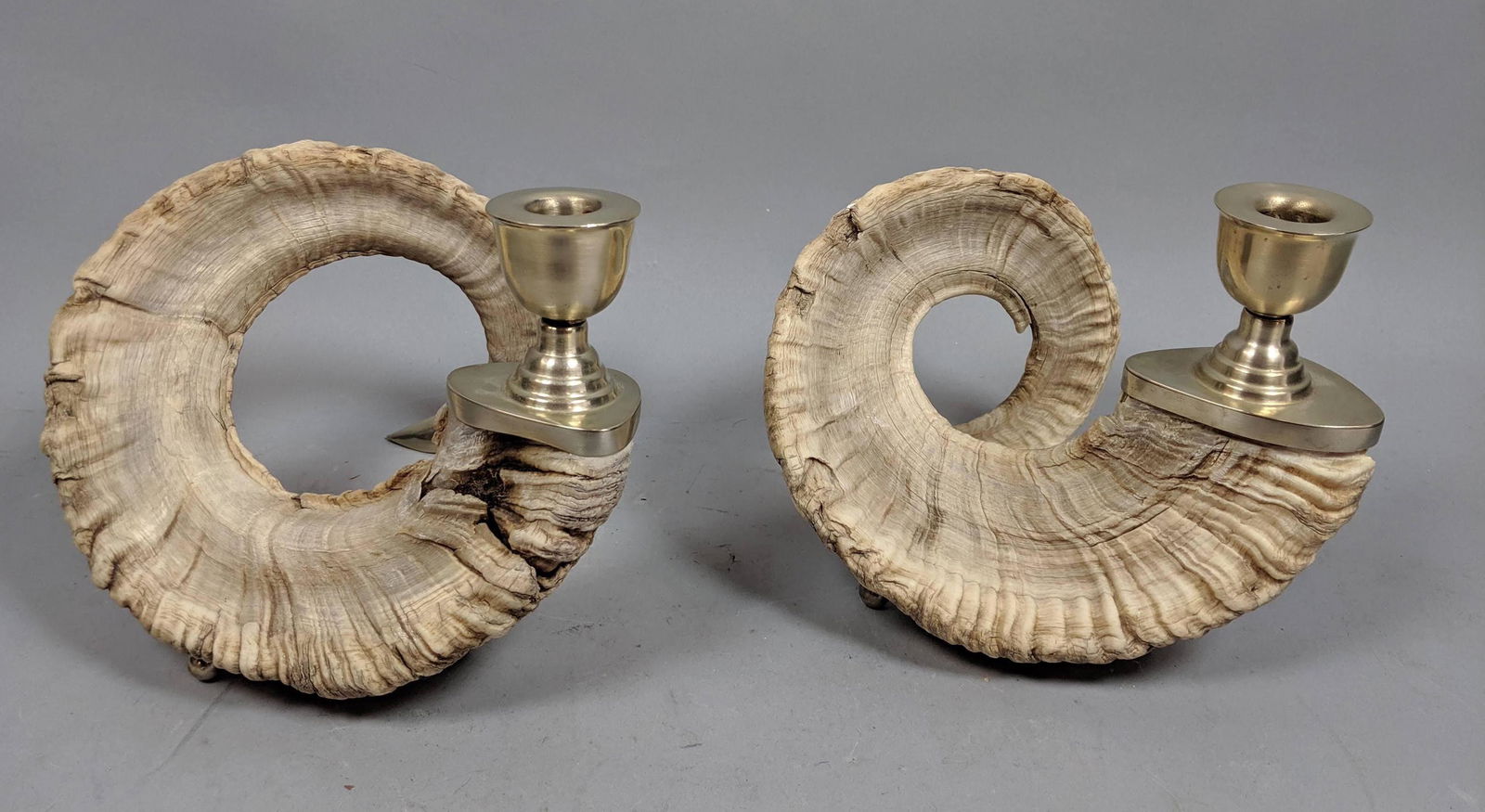 Pr Natural Ram Horn Candlesticks. Nickeled metal ball f (1 of 8)