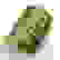 item-78214709=2