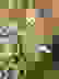 item-78214793=4