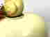 item-78810770=7
