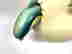 item-78810771=10