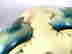 item-78810771=12