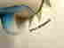 item-78810771=2