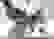 item-79042301=5
