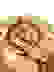 item-79056190=6