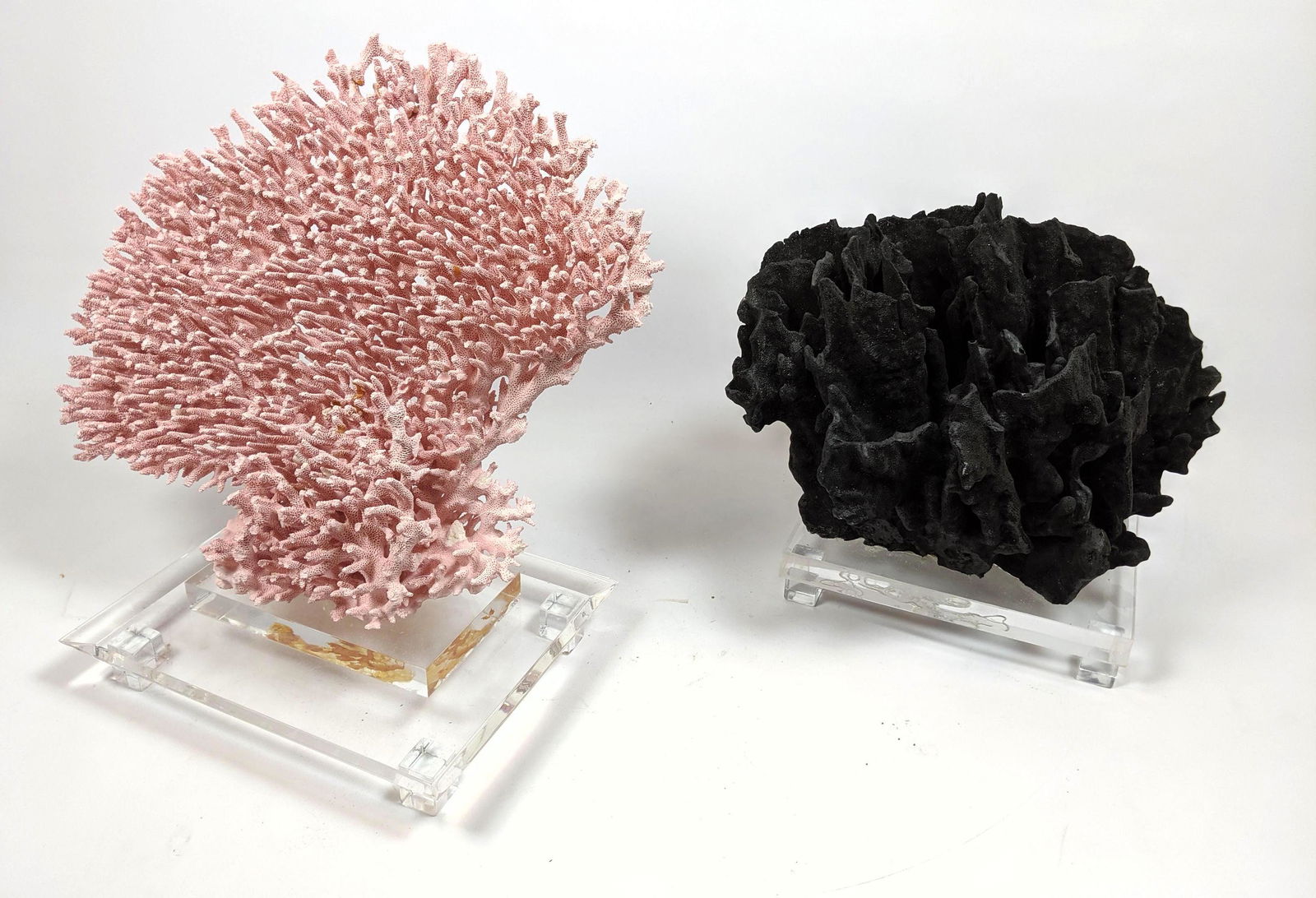 2pc Large Coral Specimens. Pink Fan form with small fin (1 of 16)
