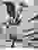 item-79094011=7