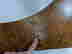item-79128582=9