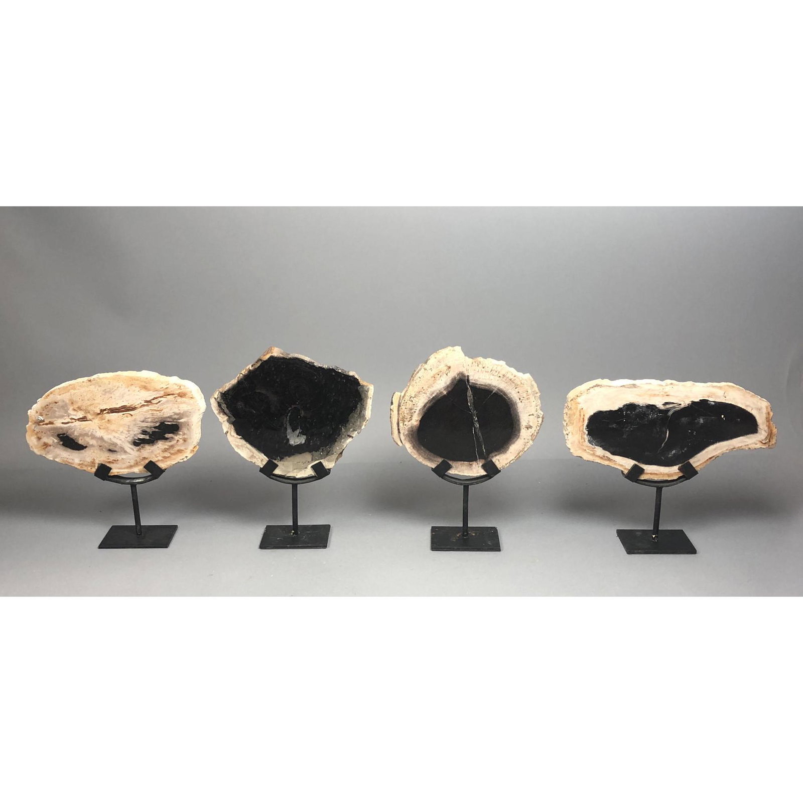 4 Loon Peak Petrified Wood Slab Table Sculptures. Custo (1 of 10)