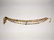 GIANNI VERSACE HTF Gilt Metal Floral Belt. Large round - 11