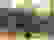 item-82137653=7