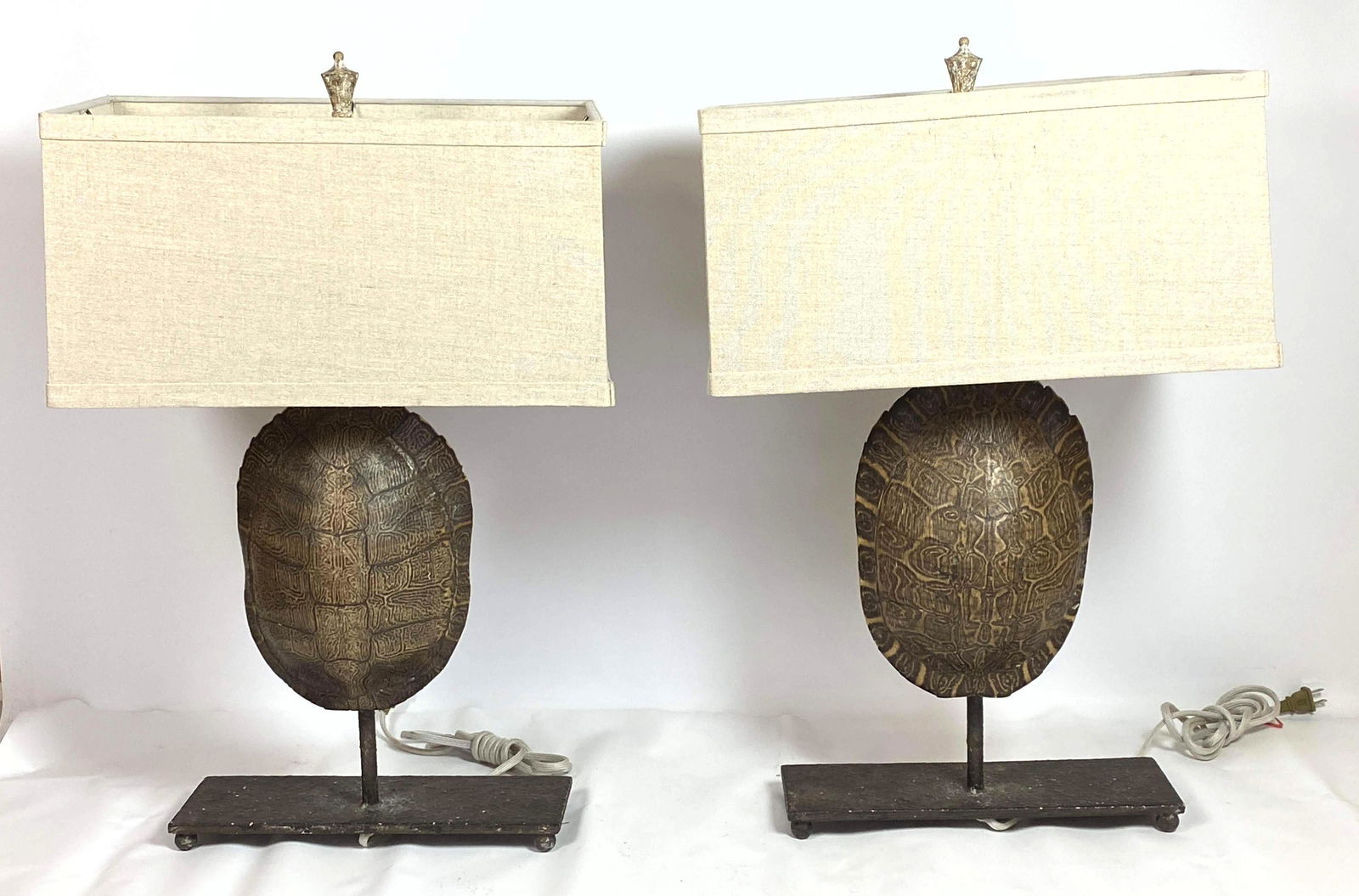 Turtle shell sale lamp