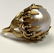 14K Gold Ladies Pearl Designer Cocktail Ring. Large lus