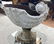 Rare Stunning Cast Iron Nautalis Shell Urn Planter. Ant - 6