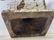 Rare Stunning Cast Iron Nautalis Shell Urn Planter. Ant - 8