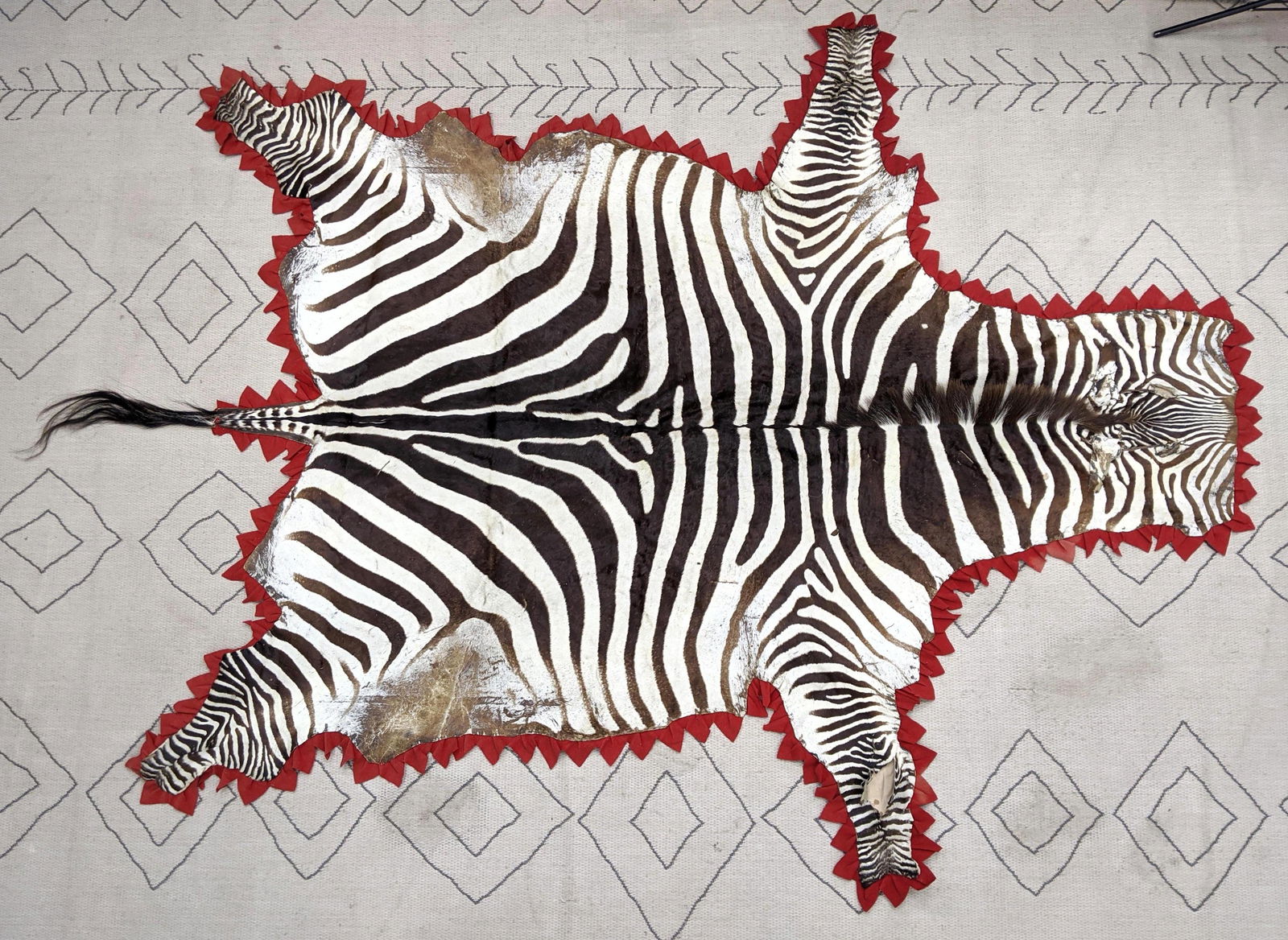 9'8x7'2 Real Zebra Hyde Carpet Rug with red trim. (1 of 12)