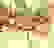 item-5901986=2
