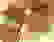item-5901986=4