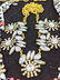 5pc Statement Costume Jewelry Necklaces. Bold designer - 5
