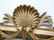 Italian Style Carved Wood Wall Mirror. Shell design to - 2