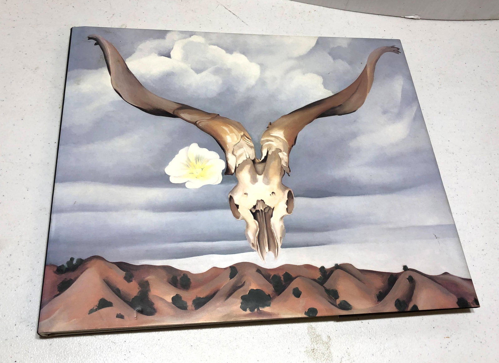 GEORGIA O KEEFFE In the west Book.: GEORGIA O KEEFFE In the west Book. -- Dimensions: ---