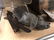 Shelf lot: Wood box, silver plated items - 4