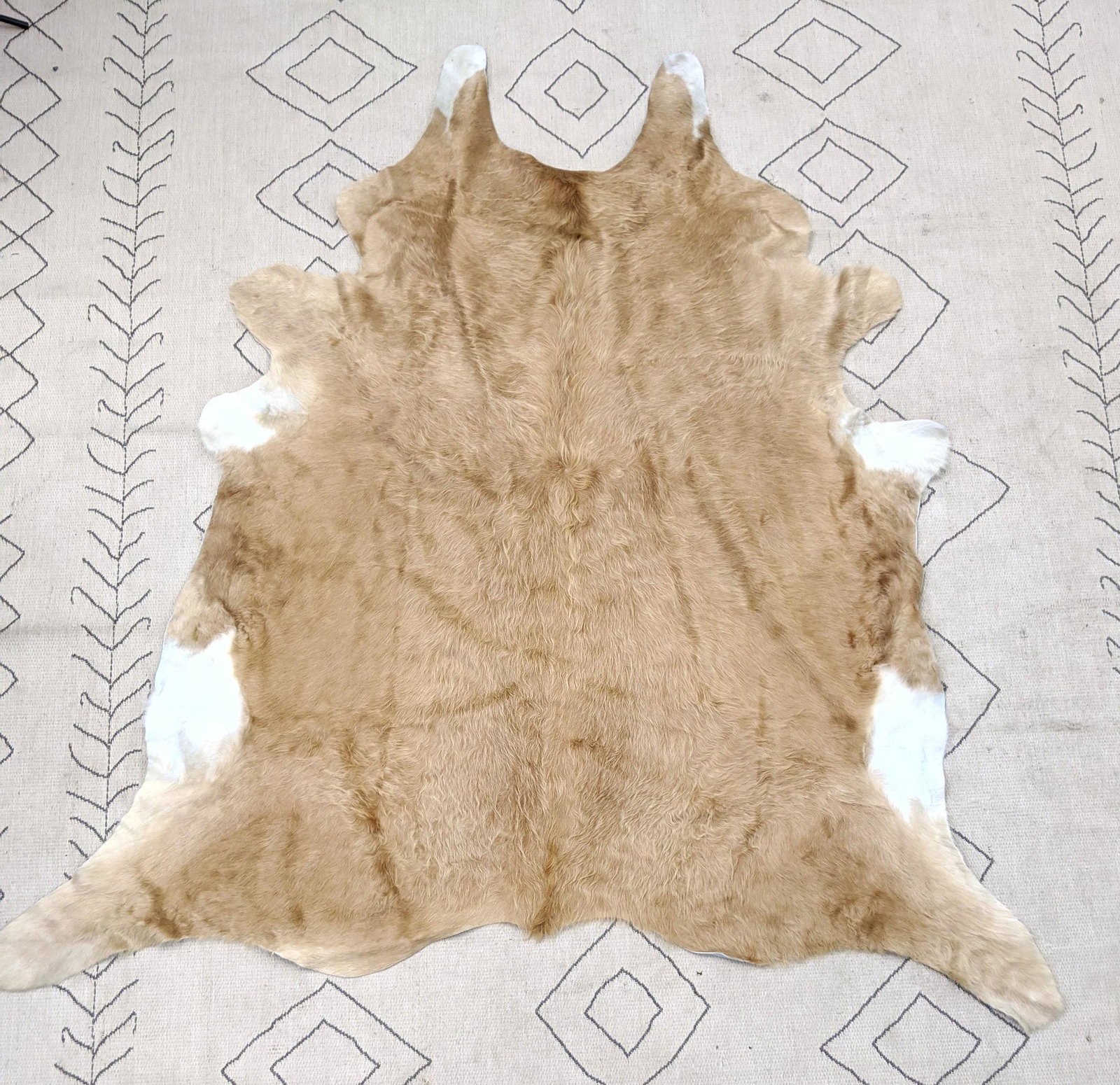 Cow Hide Leather Carpet.: Cow Hide Leather Carpet. -- Dimensions: H: 92 inches: W: 87 inches ---