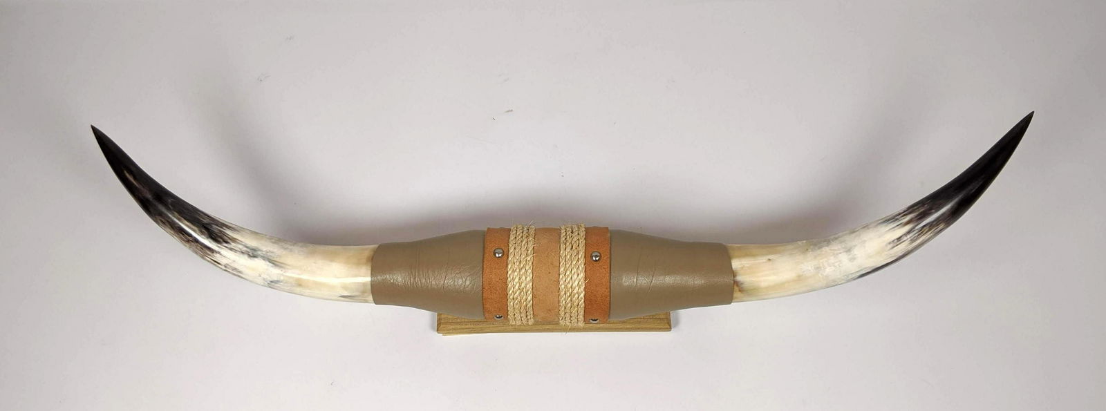 Steer Horn Wall Hanging.  Natural Steer horns with wrap (1 of 8)