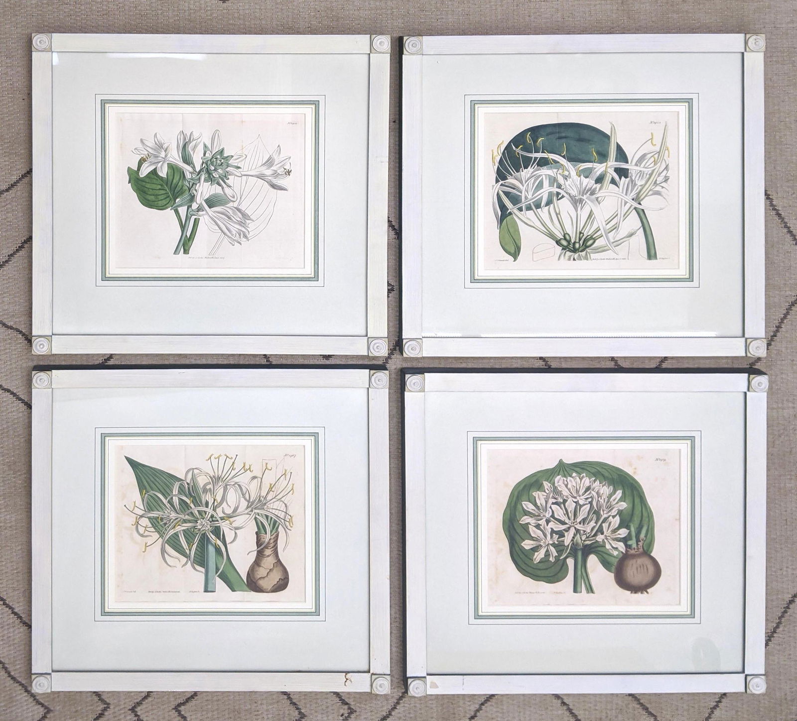 Set 4 Botanical Prints.  Framed under glass. (1 of 14)