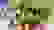 item-94166479=4