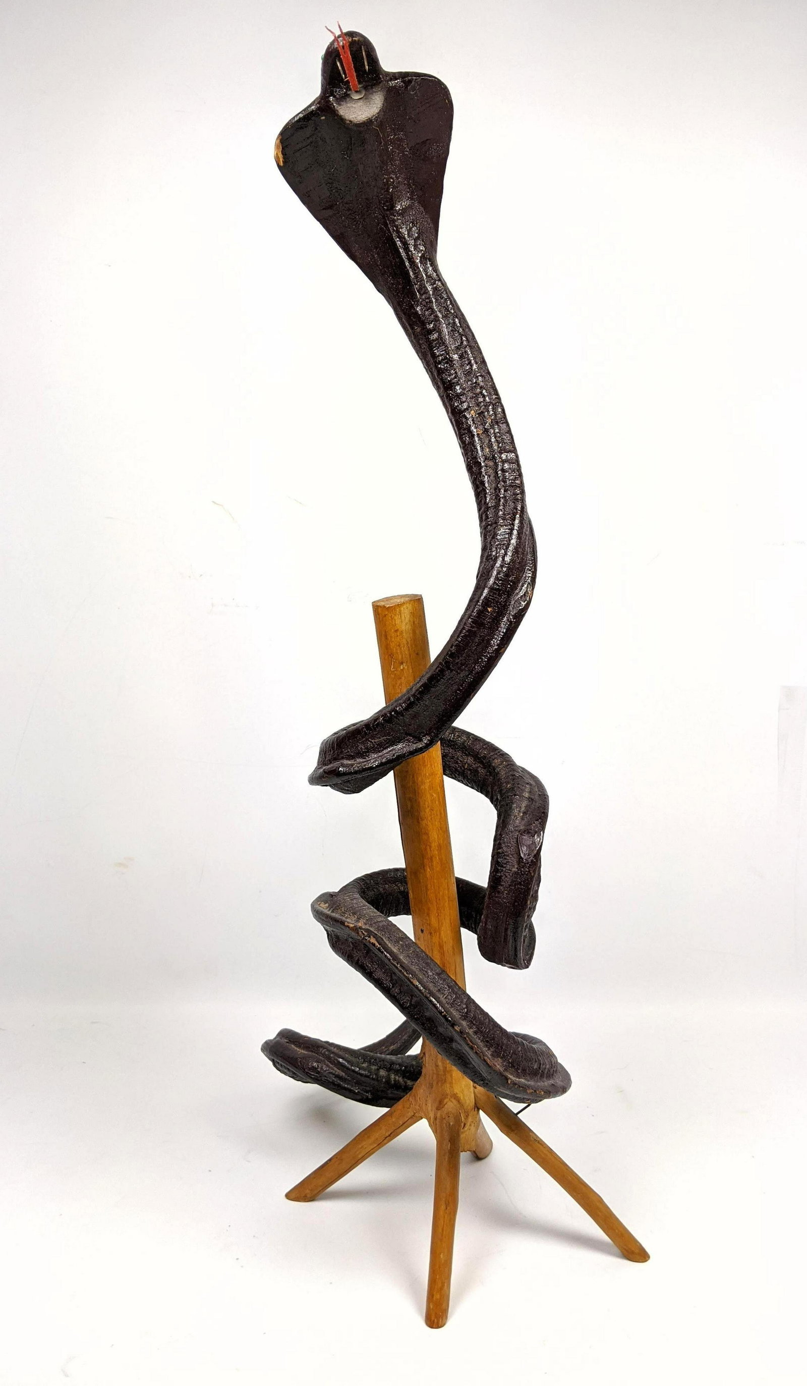 Wonderful Folk Art Carving of Cobra Snake. Stained fini (1 of 17)