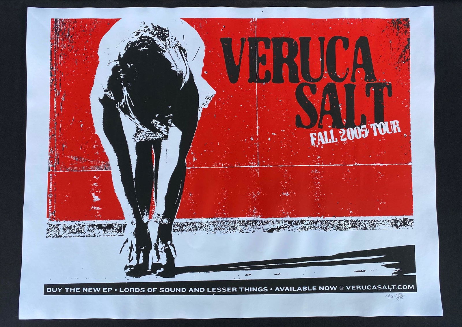 Veruca Salt Fall 2005 Tour Artist Signed and Numbered C (1 of 3)