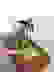 item-101086995=6