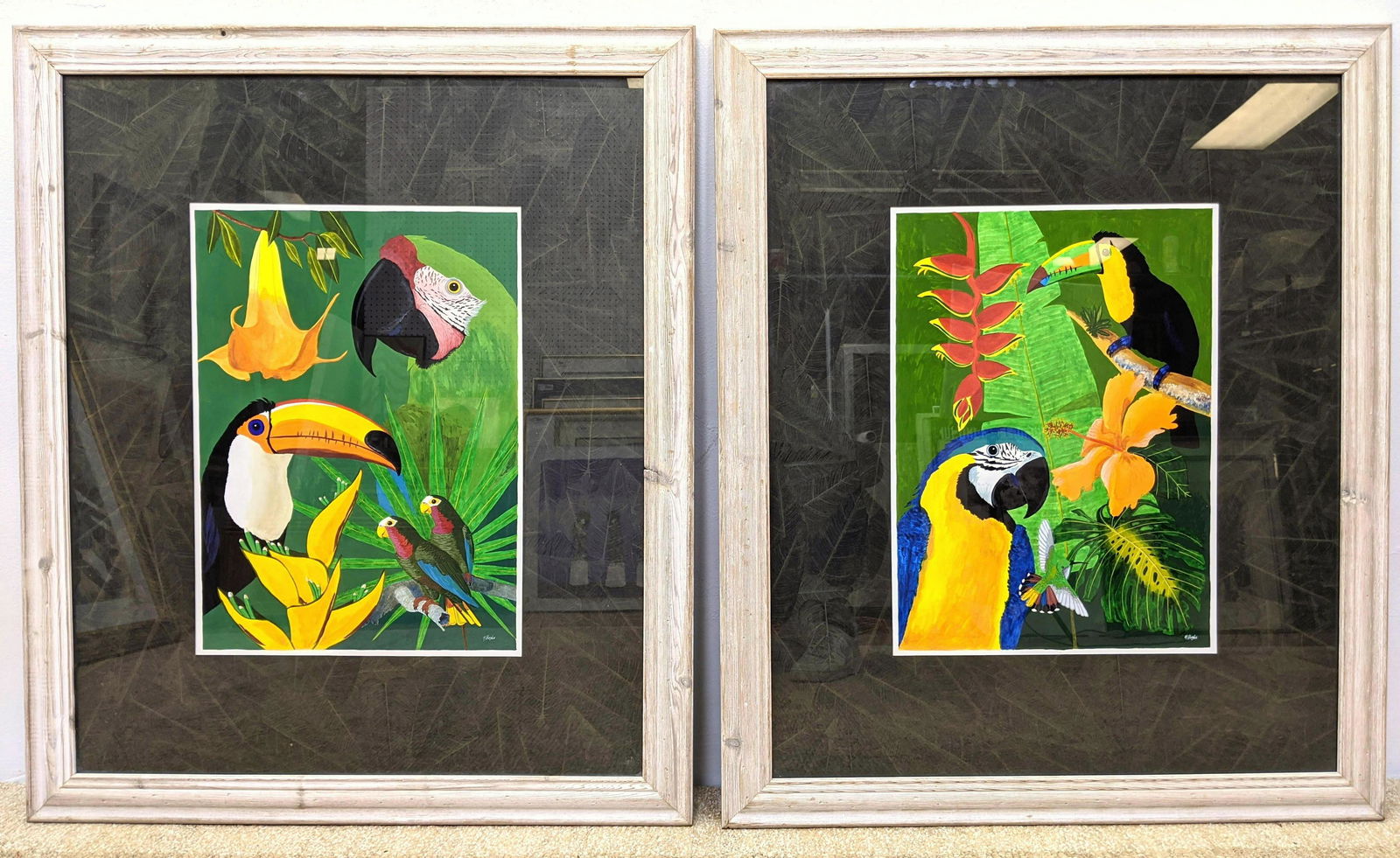 Pr Y HUGHS Parrots and Toucan Prints. Colorful Birds in (1 of 9)