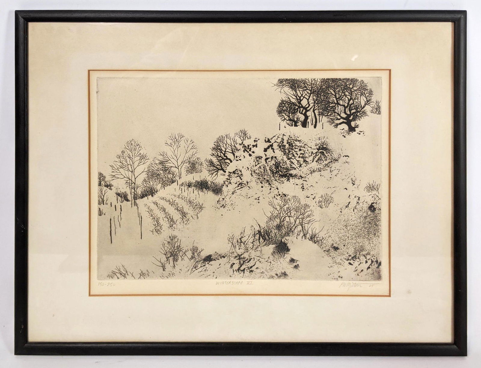 Peter Milton signed original etching. Associated Americ (1 of 11)