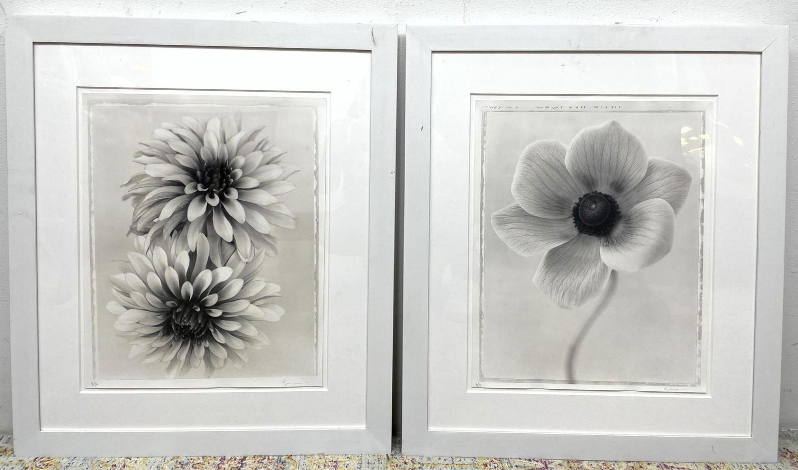 Pair RON VAN DONGEN Gelitan Silver Print Photographs. S (1 of 15)