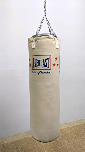 Tal højt Tænke farvestof Everlast Choice Of Champions Punching Bag. Box. Heavy T