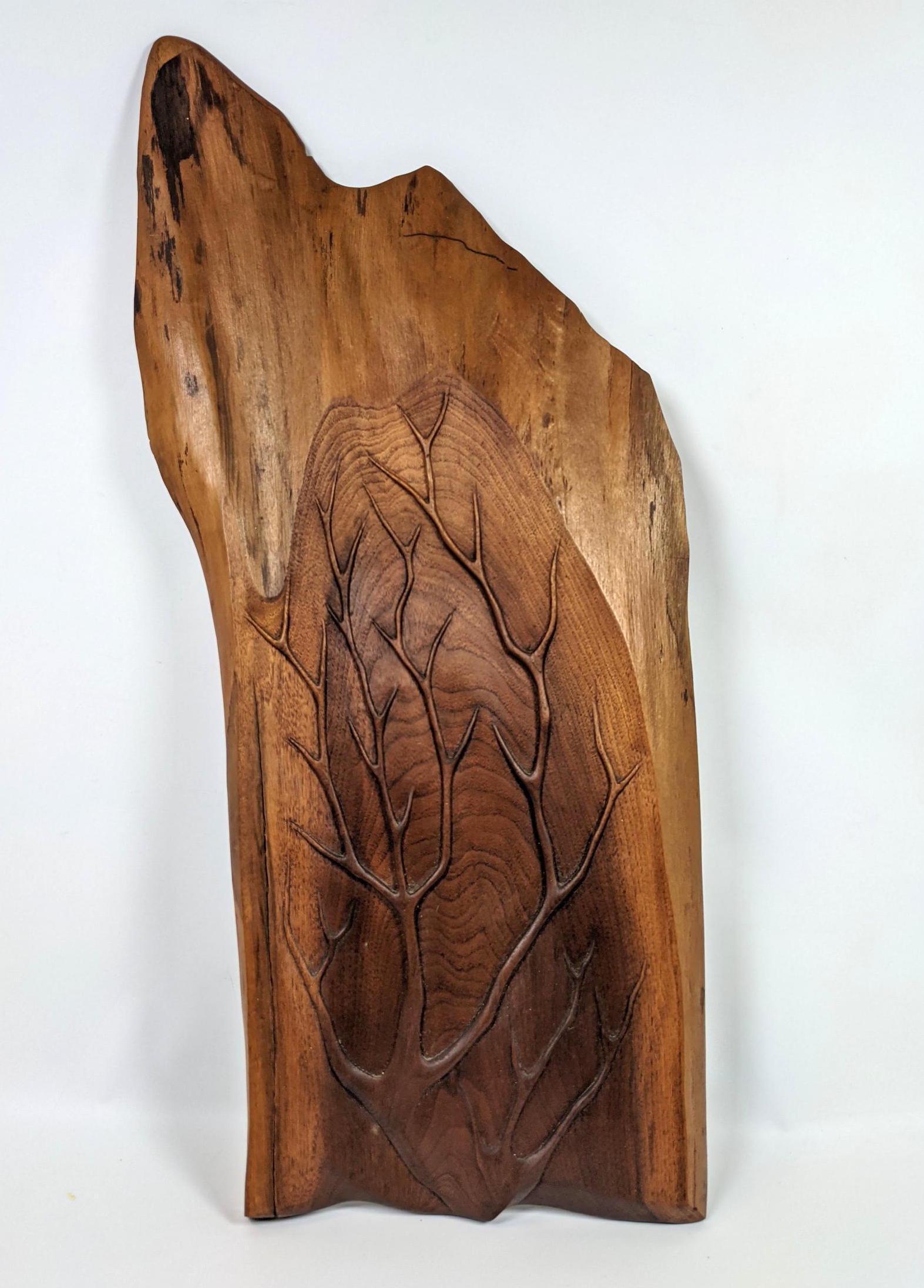 JAMES MARTIN Signed Natural Wood Slab Sculpture. Relief: JAMES MARTIN Signed Natural Wood Slab Sculpture. Relief carved tree form on wood slab. Signed James Martin, New Hope, Penna.-- Dimensions: H: 34 inches: W: 16 inches: D: 1 inches ---