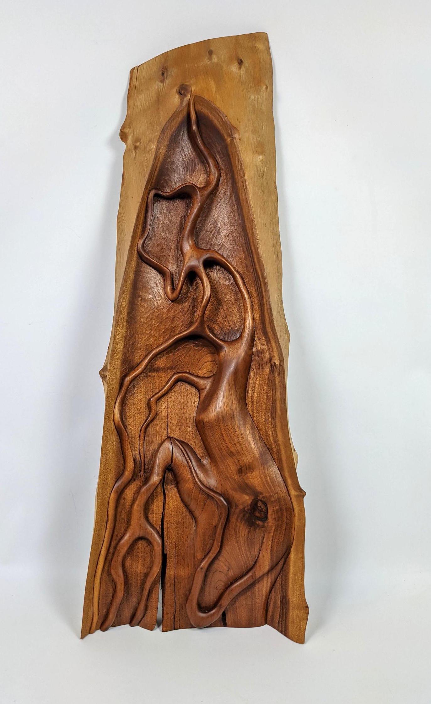 JAMES MARTIN Signed Natural Wood Slab Sculpture. Relief: JAMES MARTIN Signed Natural Wood Slab Sculpture. Relief carved abstract form on wood slab. Signed James Martin, New Hope, Penna.-- Dimensions: H: 31 inches: W: 11 inches: D: 2 inches ---