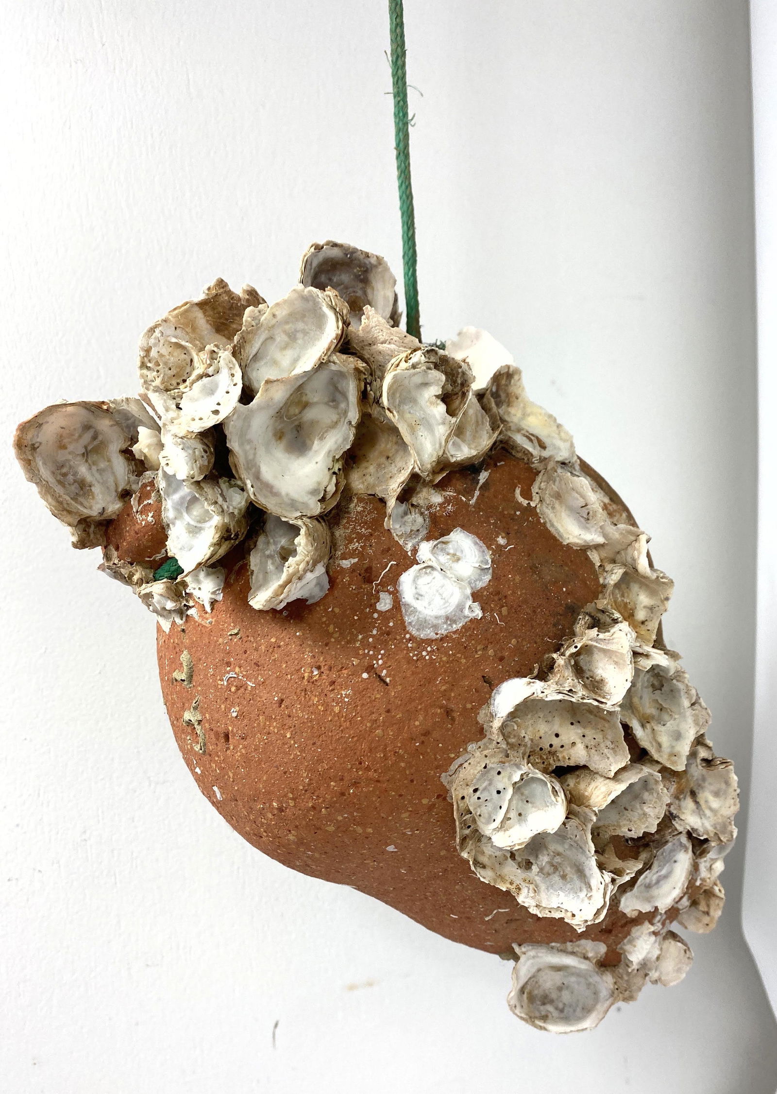 Amphora Style Sea Pot with Shells and Barnacles.: Amphora Style Sea Pot with Shells and Barnacles. -- Dimensions: H: 12 inches: W: 8 inches: D: 8 inches ---