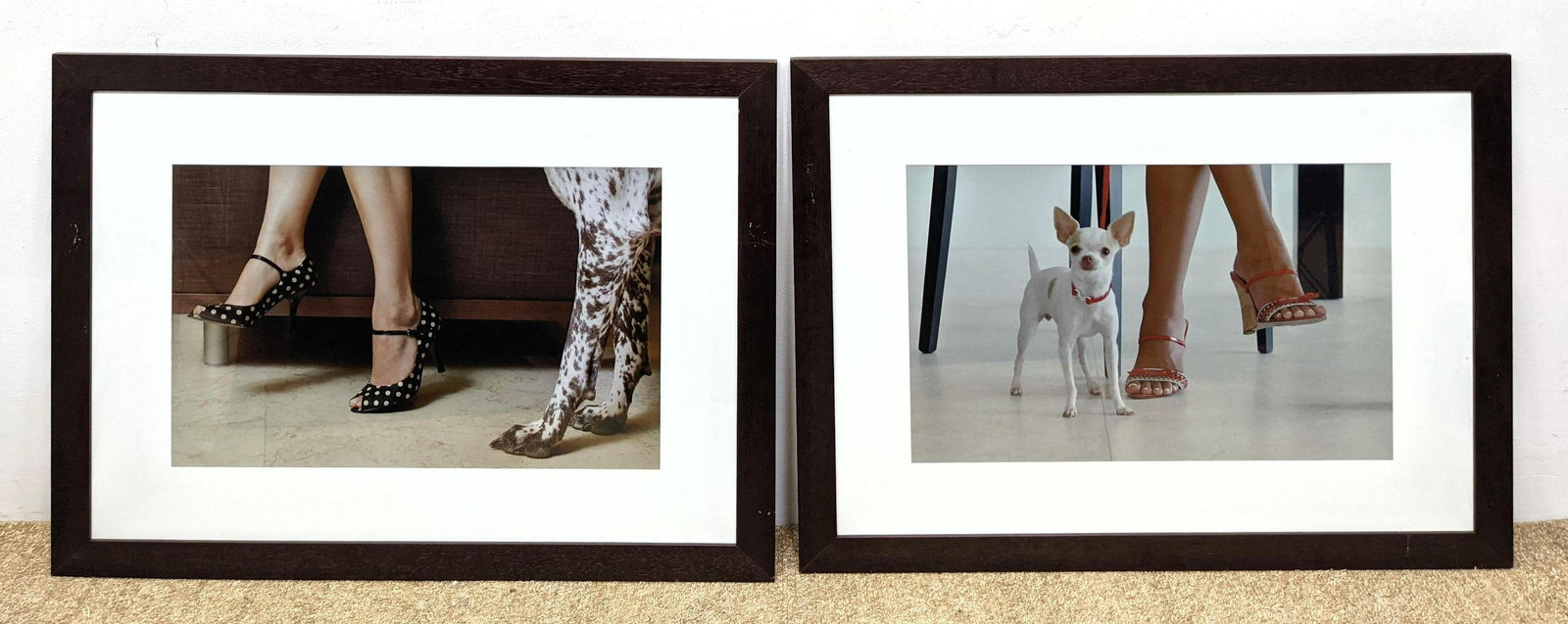 Pr Photographic Prints. Dog and Shoes. (1 of 7)