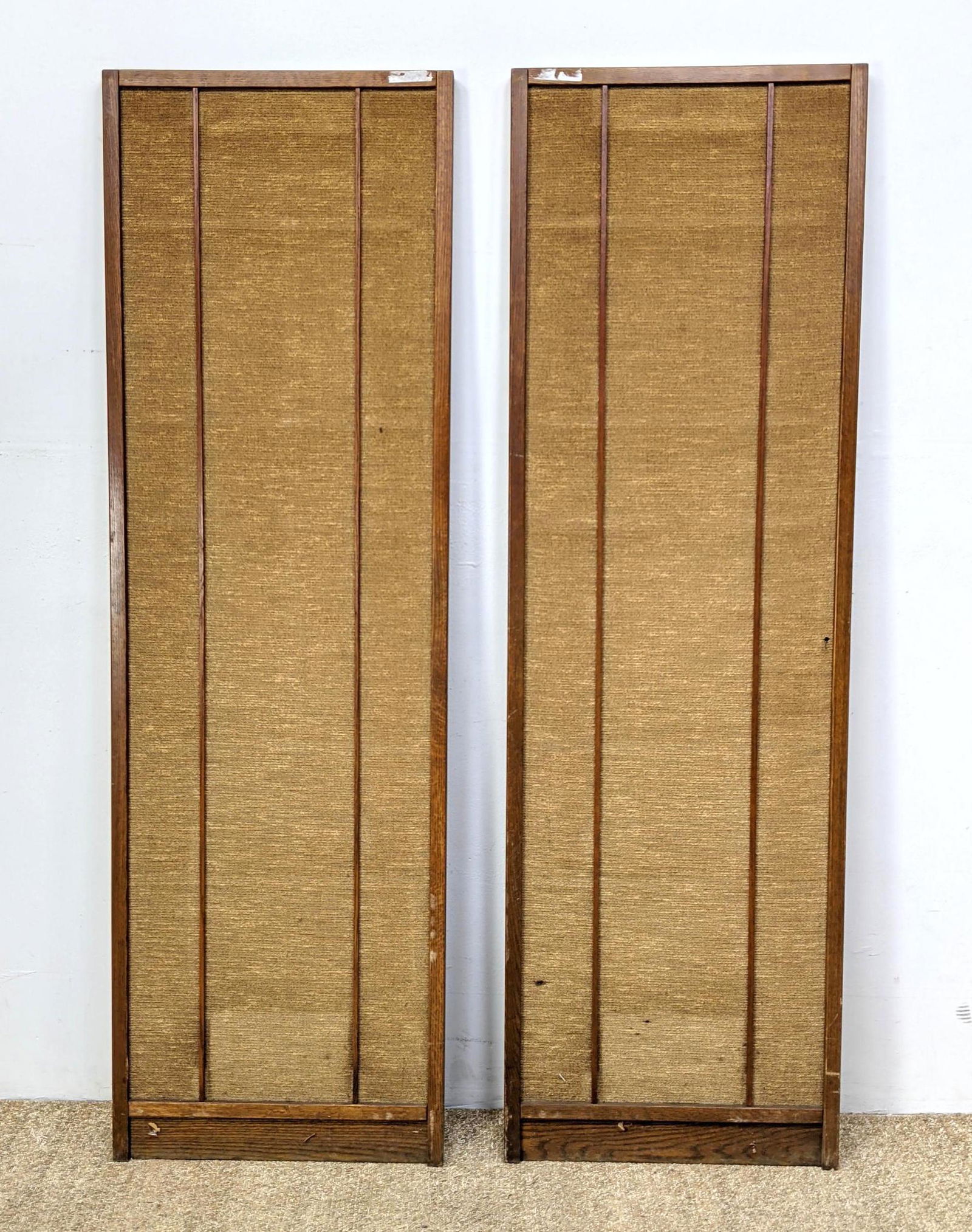 Pr MAGNEPAN MG-IIB Magneplanar Loudspeakers. Tall Narro (1 of 10)