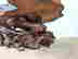 item-117540195=6
