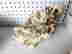 item-117540898=8