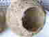 item-117540902=4