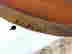item-117540906=2