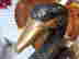 item-117540906=4